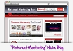 Pinterest Marketing Niche Blog Theme